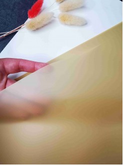 Пленка для цветов матовая однотонная 58*58см (песочный), 3листа